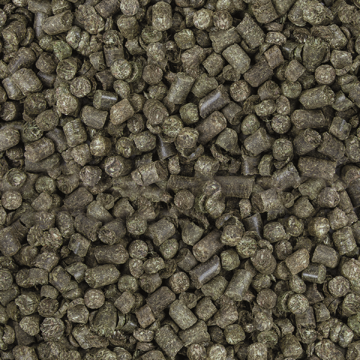 Höveler Senior-Cobs